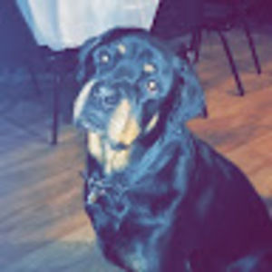 Meet your Posher, Alison